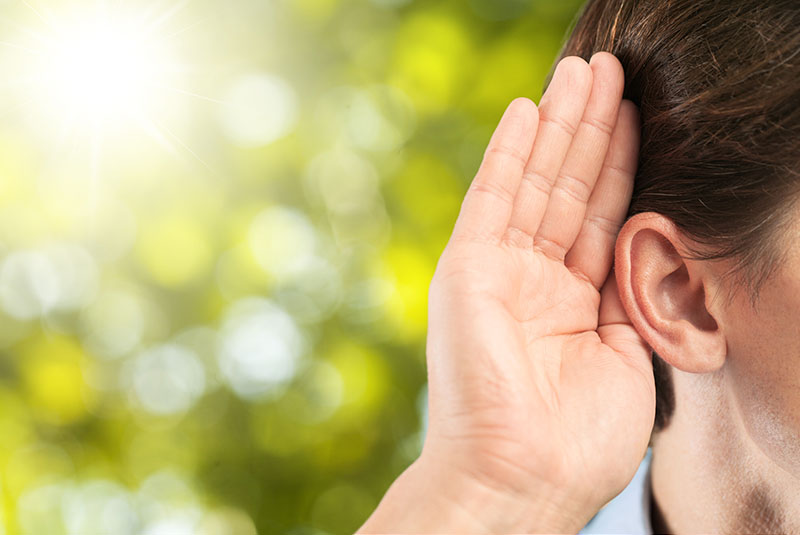 KBioN notizie e approfondimenti